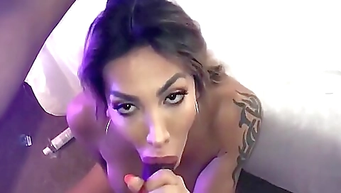 Hot mojitoger and understood with cock